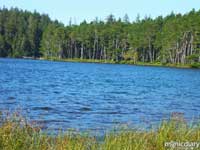 honeyman11.jpg : honeyman.sp.oregon