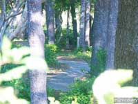 honeyman14.jpg : honeyman.sp.oregon