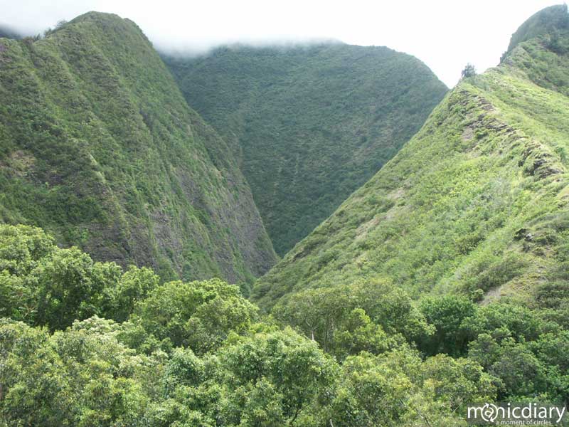 greenhills.jpg : iao.maui