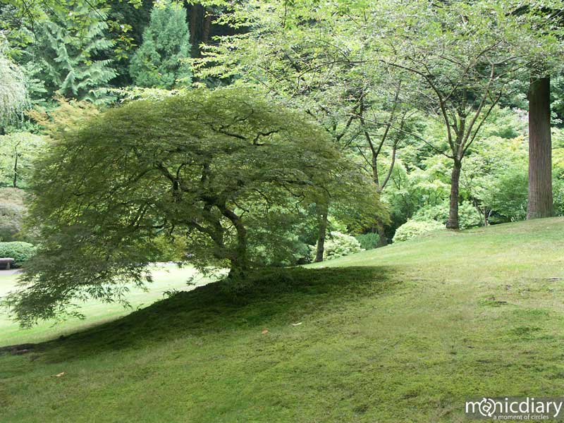 japanese_garden33.jpg : japanese.garden.portland.or