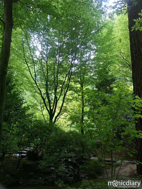 japanese_garden40.jpg : japanese.garden.portland.or