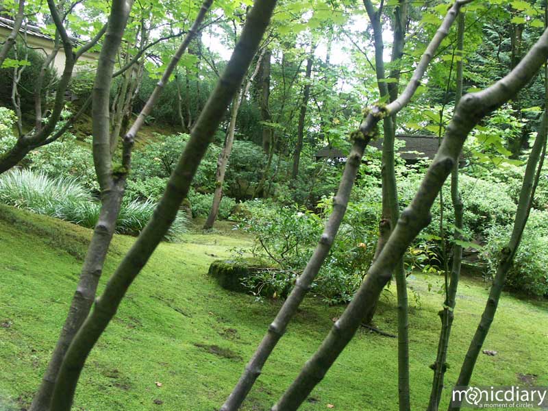 japanese_garden52.jpg : japanese.garden.portland.or