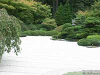 japanese_garden07.jpg : japanese.garden.portland.or