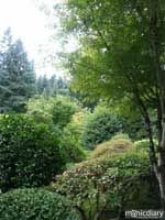 japanese_garden13.jpg : japanese.garden.portland.or
