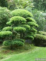 japanese_garden14.jpg : japanese.garden.portland.or