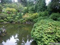 japanese_garden23.jpg : japanese.garden.portland.or