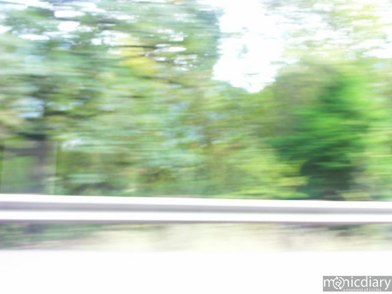 motion02.jpg : misc.oregon