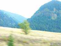 motion00.jpg : misc.oregon