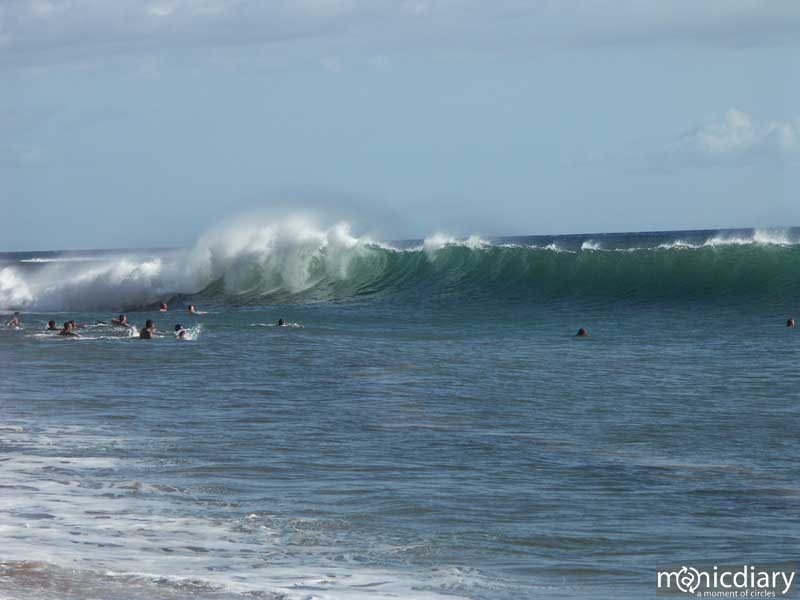 surf01.jpg : north.shore.maui