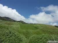picnic.jpg : north.shore.maui