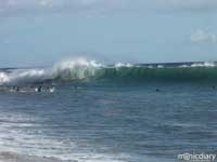 surf01.jpg : north.shore.maui