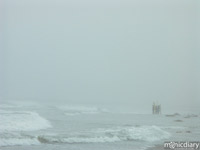 ocean-beach09.jpg : ocean.beach.san.diego