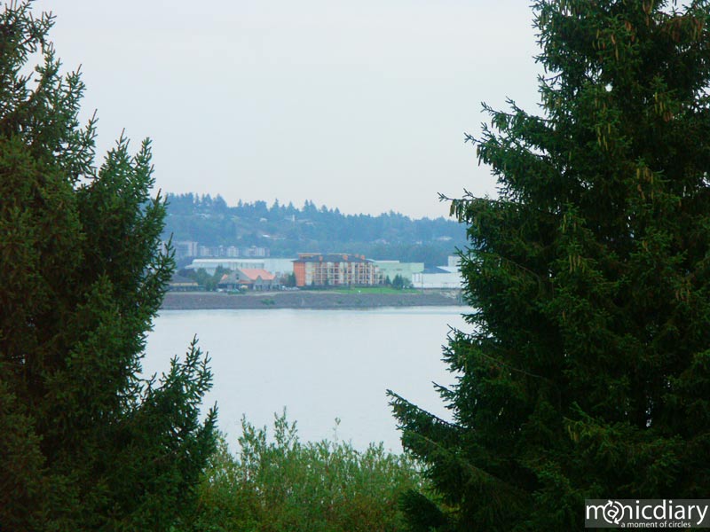 river11.jpg : rivers.oregon