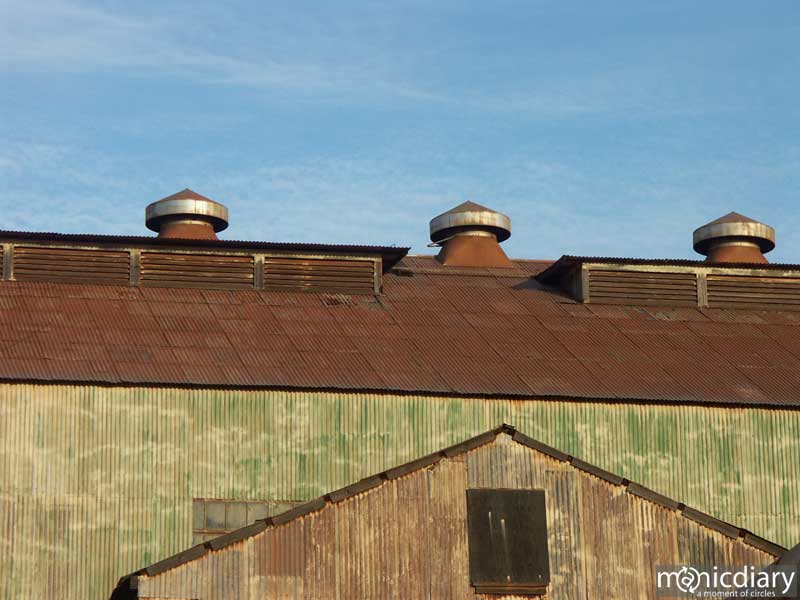 mill03.jpg : the.mill.maui